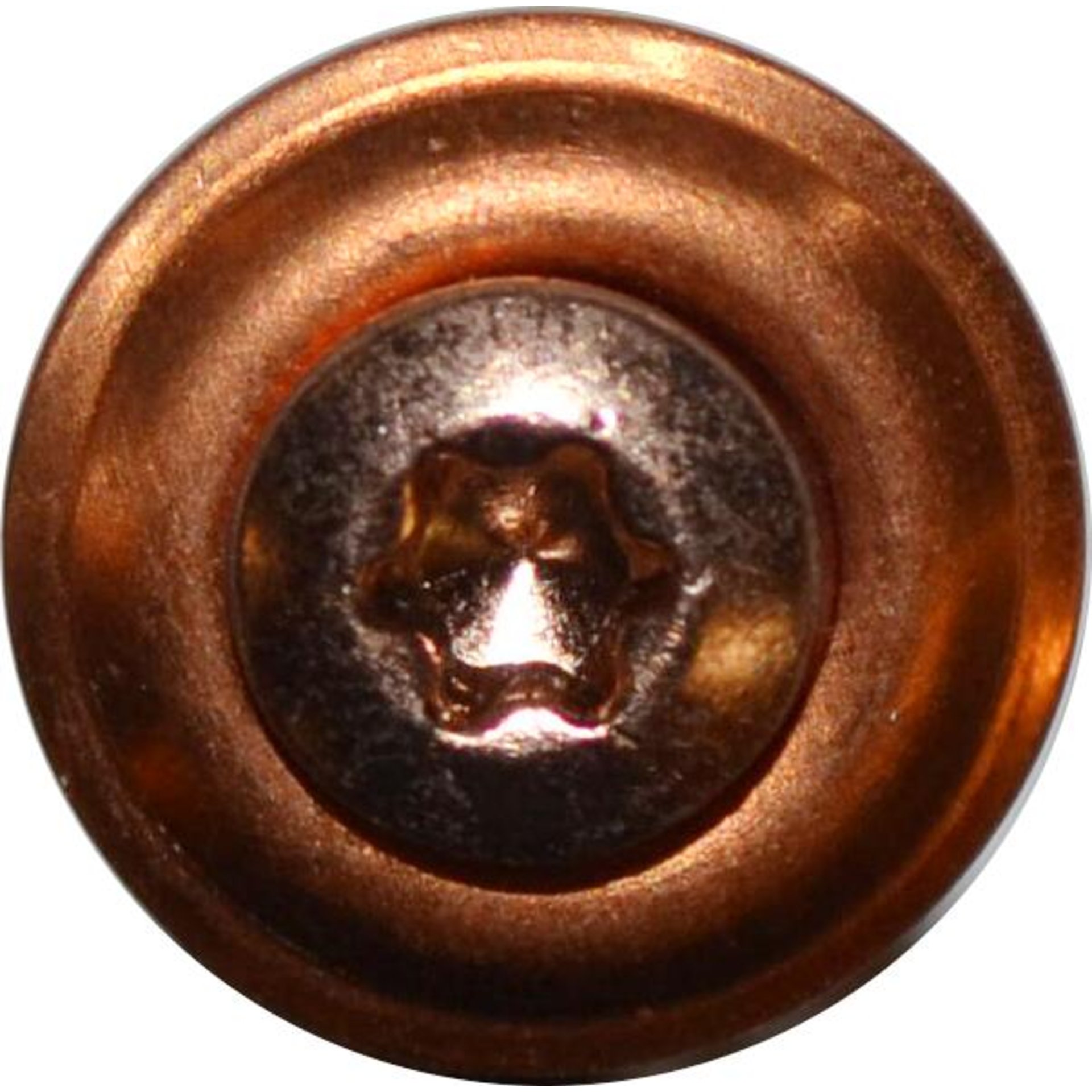 TX-Dichtschraube Cu 20mm TX20 4,5 x 20 2tlg. VE 200