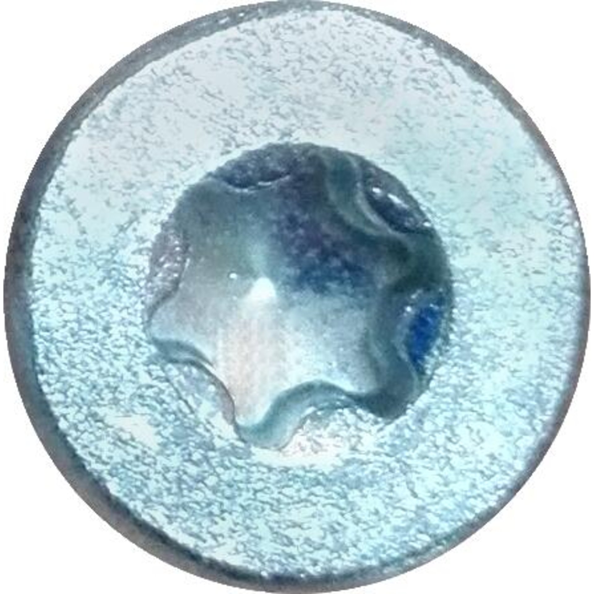 Spanplattenschrauben blau verzinkt 3,0 x 12 Seko VG TX10