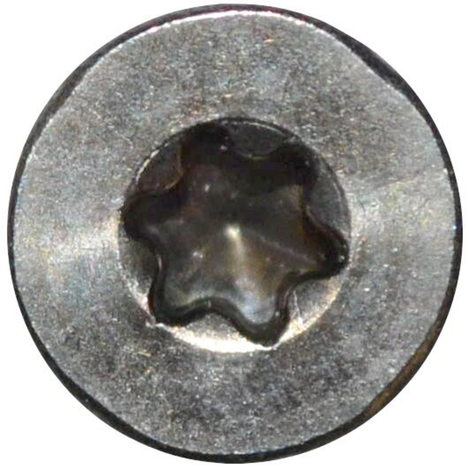 Holzbohrschrauben V 2 A 4,0 x 40 TX 20